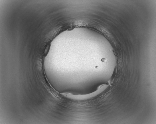 X0000063450401200602171904