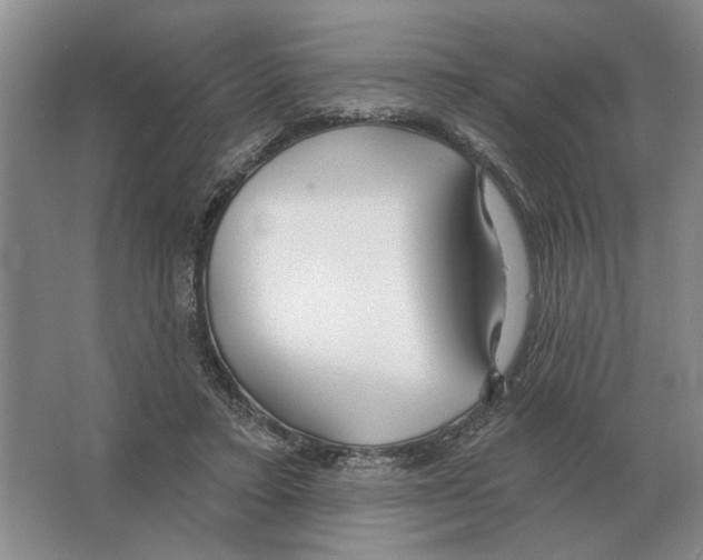 X0000063450403200602171904