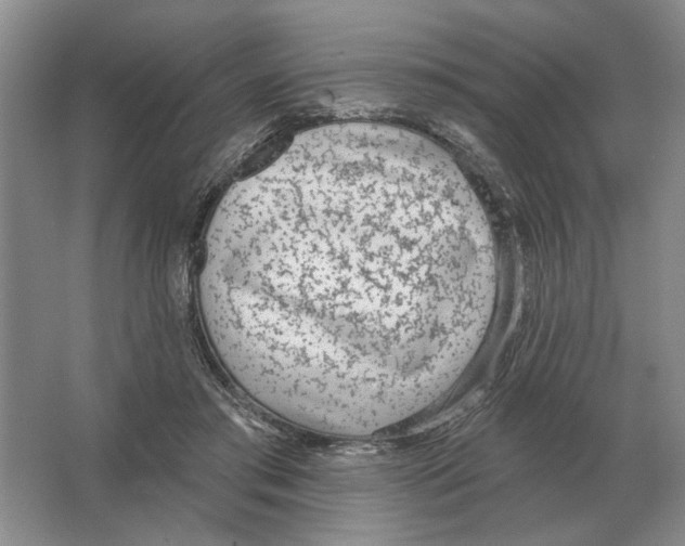 X0000063450405200602171904