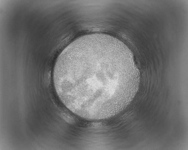 X0000063450406200602171904