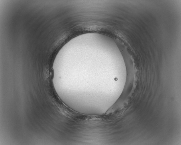 X0000063450407200602171904