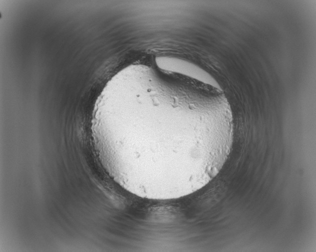 X0000063450408200602171903