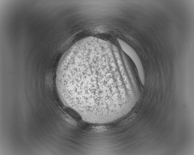 X0000063450409200602171903