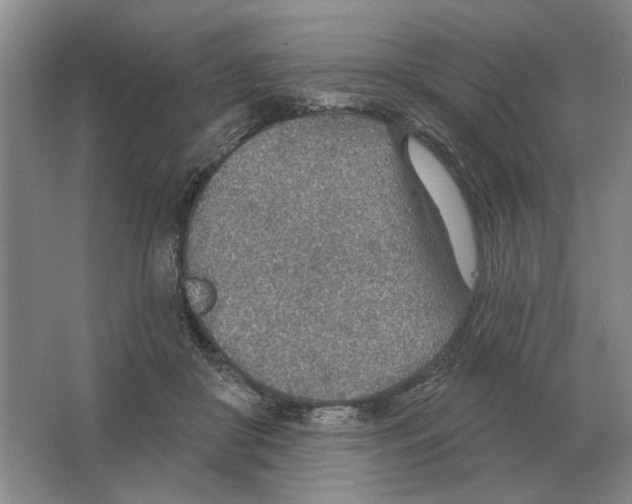 X0000063450410200602171903