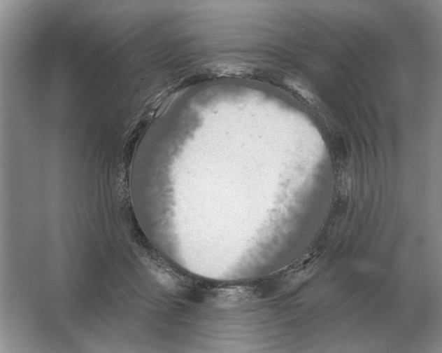 X0000063450411200602171903