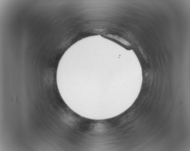 X0000063450412200602171903