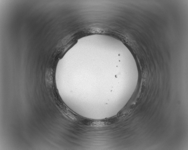 X0000063450413200602171903