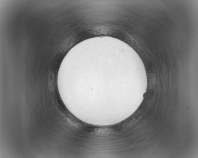 X0000063450414200602171903