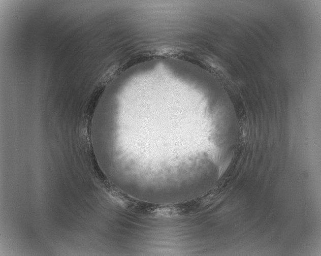 X0000063450415200602171903