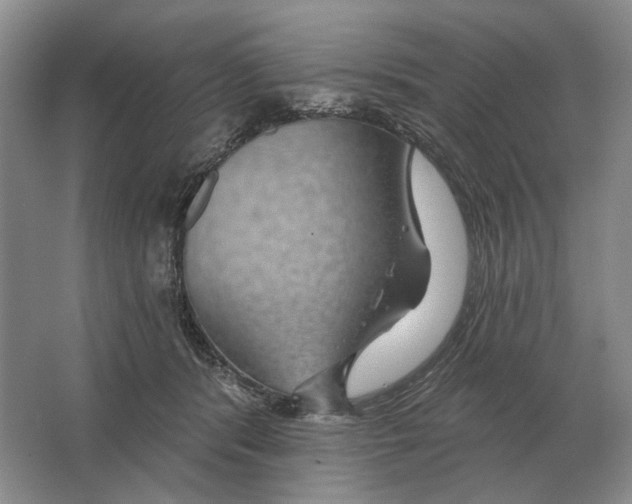 X0000063450416200602171903