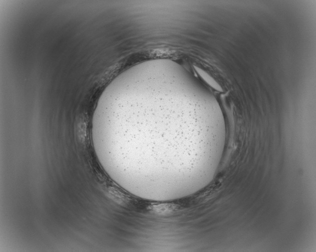 X0000063450417200602171903