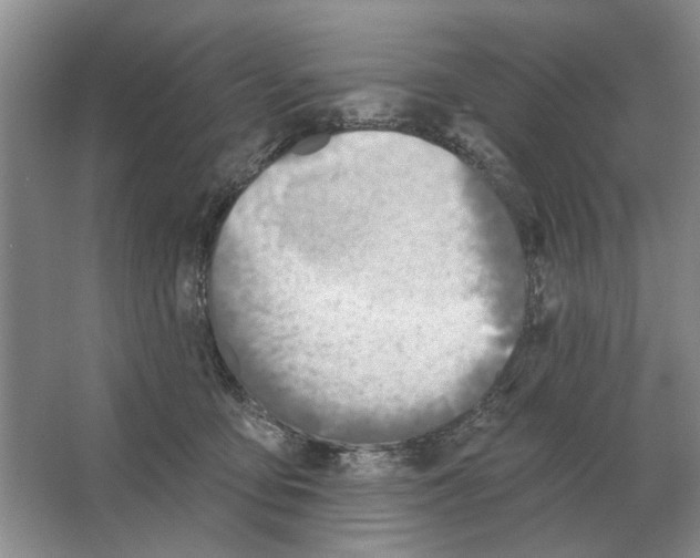 X0000063450419200602171903