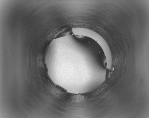 X0000063450421200602171903