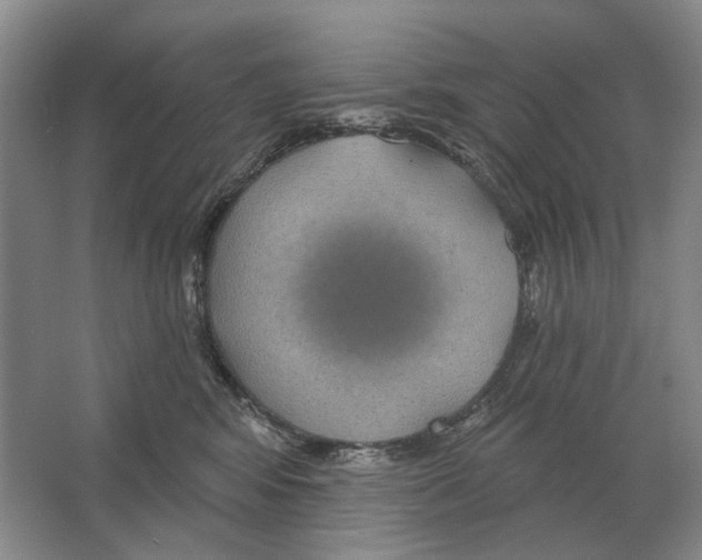 X0000063450424200602171903