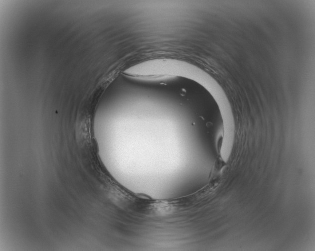 X0000063450425200602171903