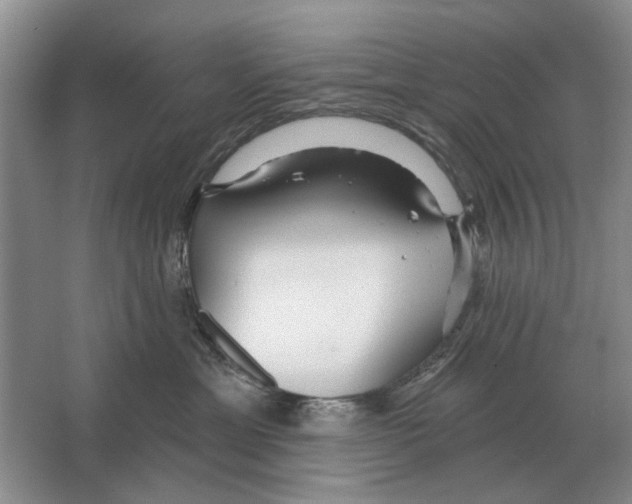 X0000063450429200602171903