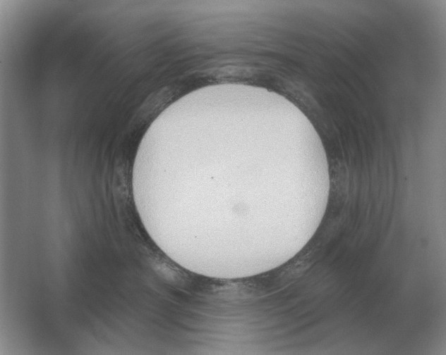 X0000063450430200602171903