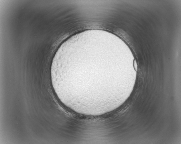 X0000063450433200602171902