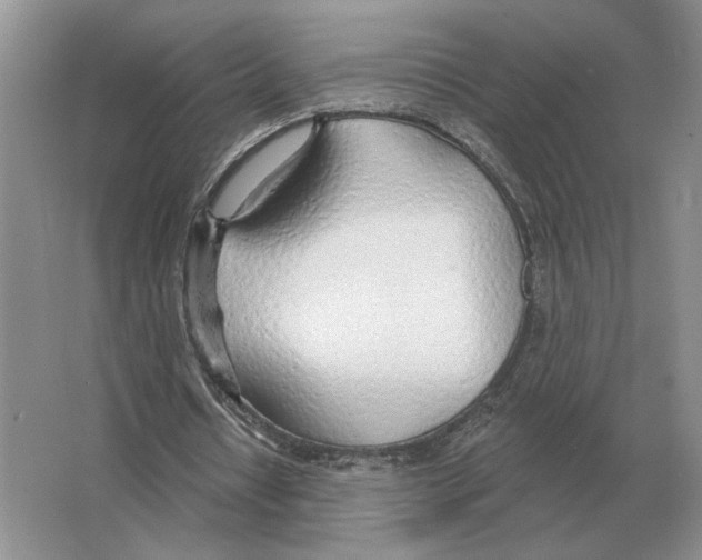 X0000063450434200602171902