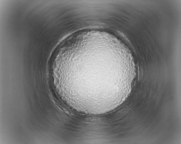 X0000063450435200602171902