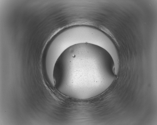 X0000063450436200602171902