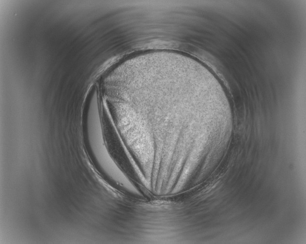 X0000063450437200602171902