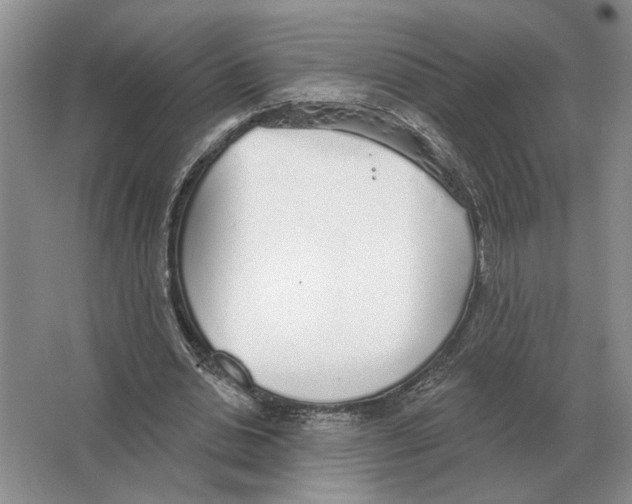 X0000063450438200602171902