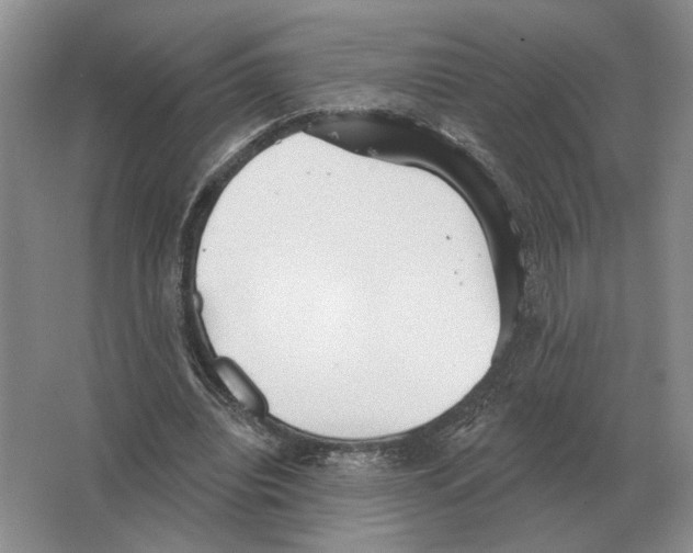 X0000063450440200602171902