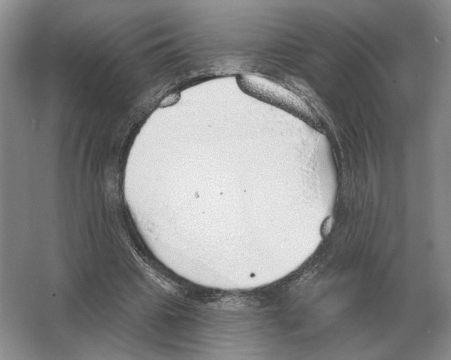 X0000063450441200602171902