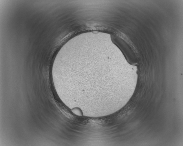 X0000063450442200602171902