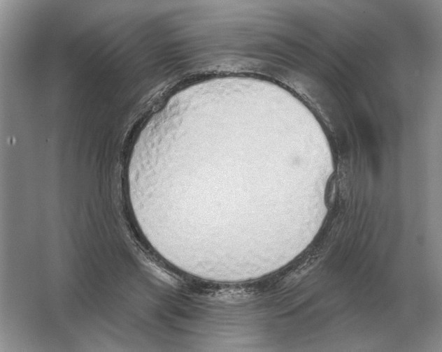 X0000063450445200602171902