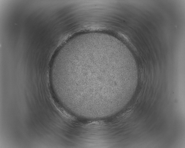 X0000063450447200602171902