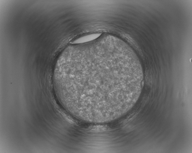 X0000063450449200602171902