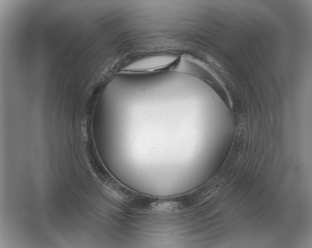 X0000063450452200602171903