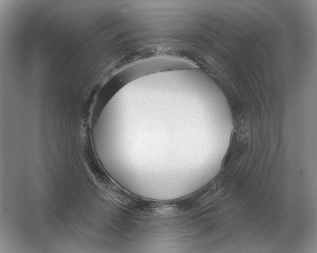 X0000063450456200602171903