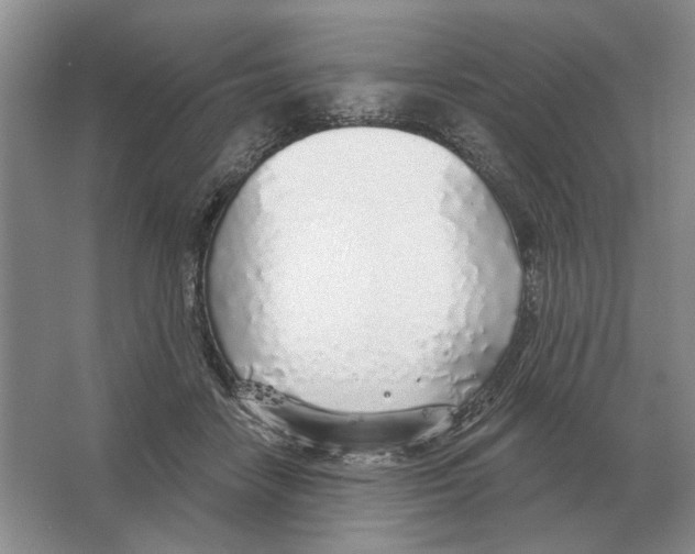 X0000063450458200602171903