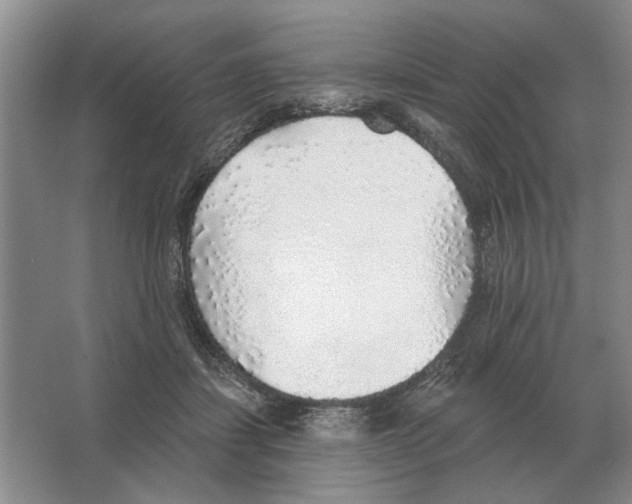 X0000063450459200602171903