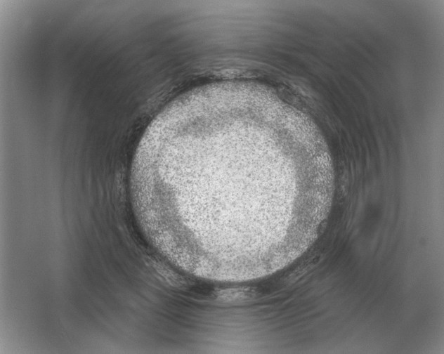 X0000063450461200602171903