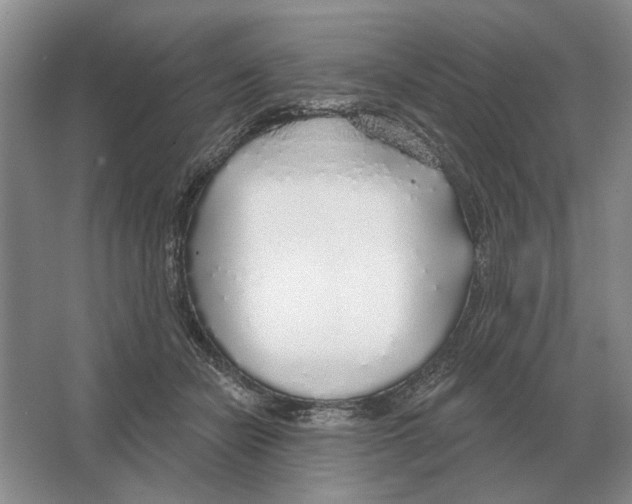 X0000063450462200602171903