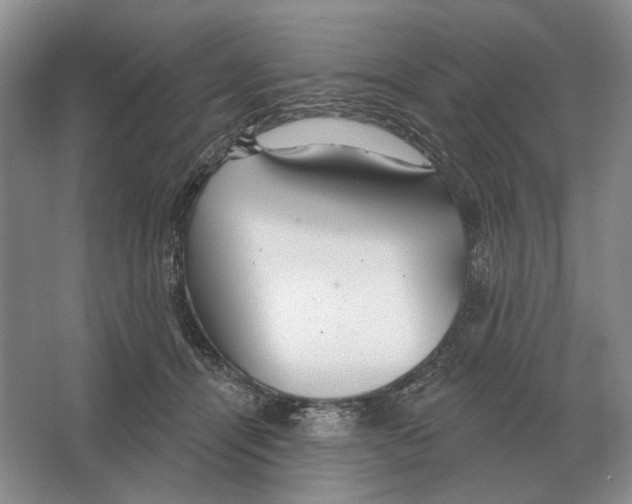 X0000063450464200602171903