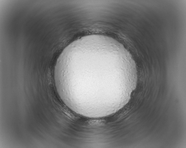 X0000063450465200602171903