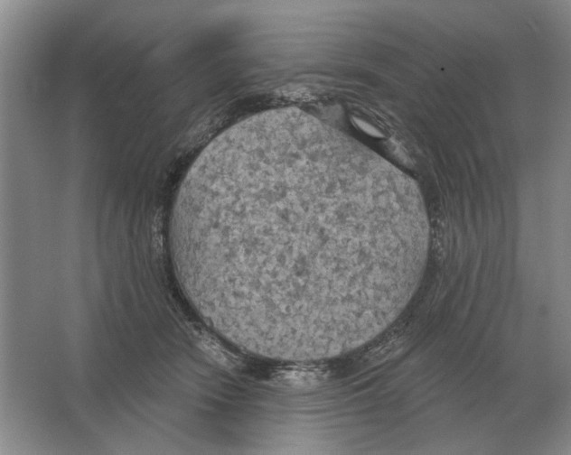 X0000063450466200602171903