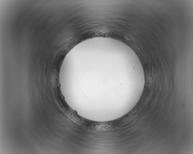 X0000063450468200602171903