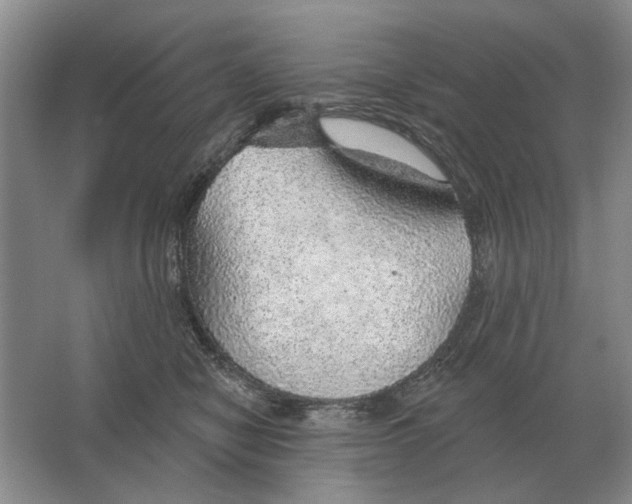 X0000063450470200602171903