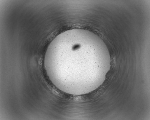 X0000063450472200602171903