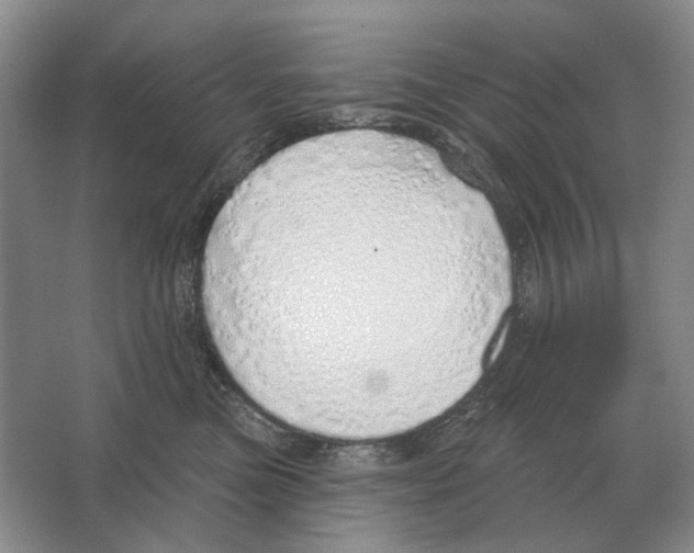 X0000063450473200602171903