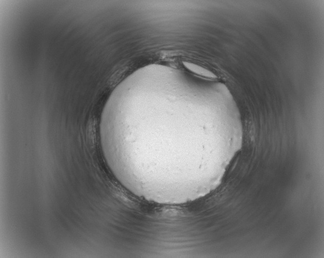 X0000063450475200602171903