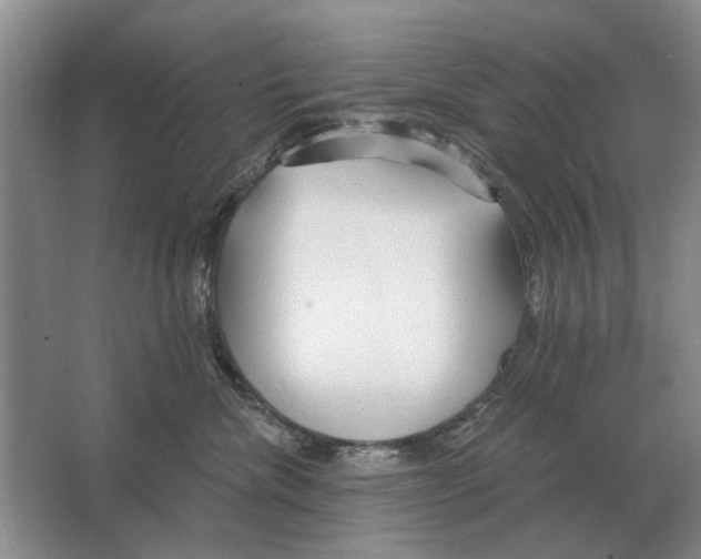 X0000063450476200602171903