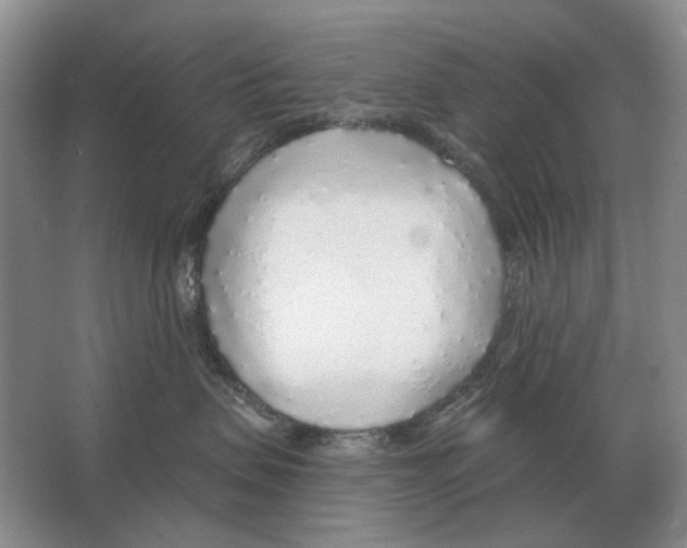 X0000063450479200602171903