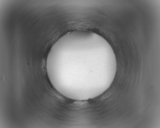 X0000063450480200602171903